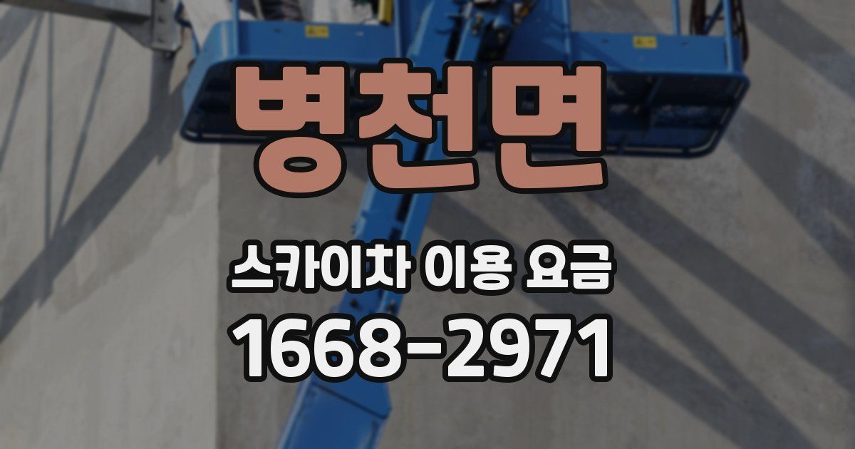 병천면 스카이차 이용 요금