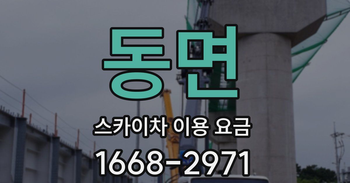 동면 스카이차 이용 요금