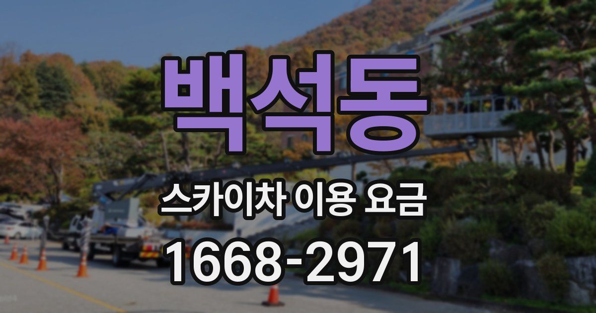 백석동 스카이차 이용 요금