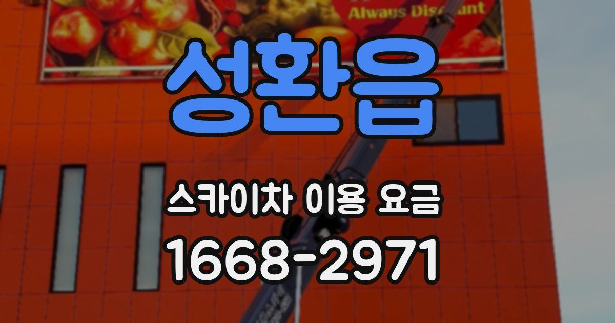 성환읍 스카이차 이용 요금