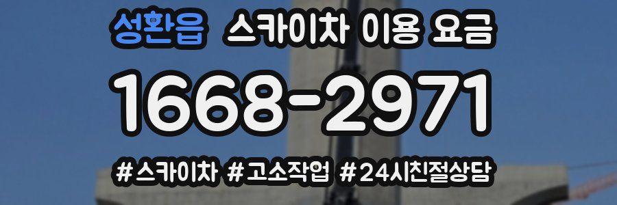 성환읍 스카이차 이용 요금