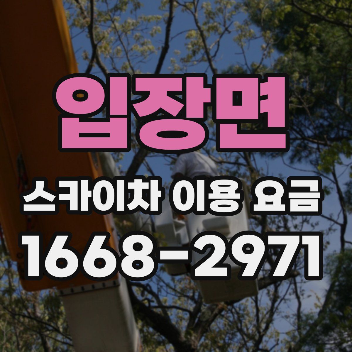 입장면 스카이차 이용 요금