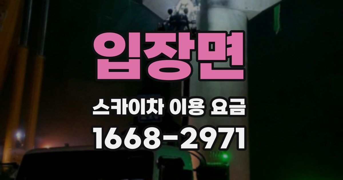 입장면 스카이차 이용 요금