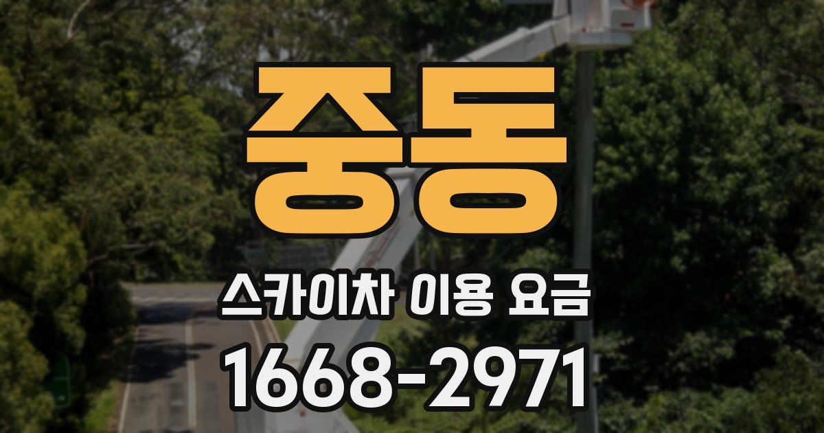 중동 스카이차 이용 요금