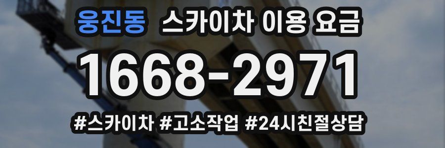 웅진동 스카이차 이용 요금