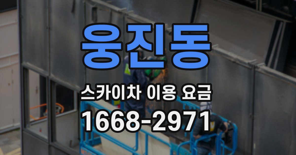 웅진동 스카이차 이용 요금