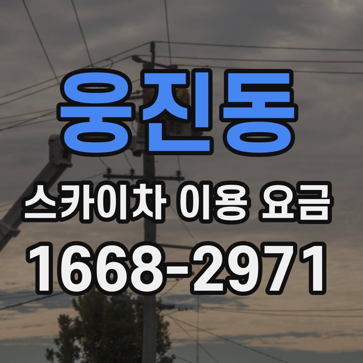 웅진동 스카이차 이용 요금