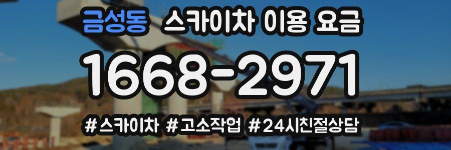 금성동 스카이차 이용 요금
