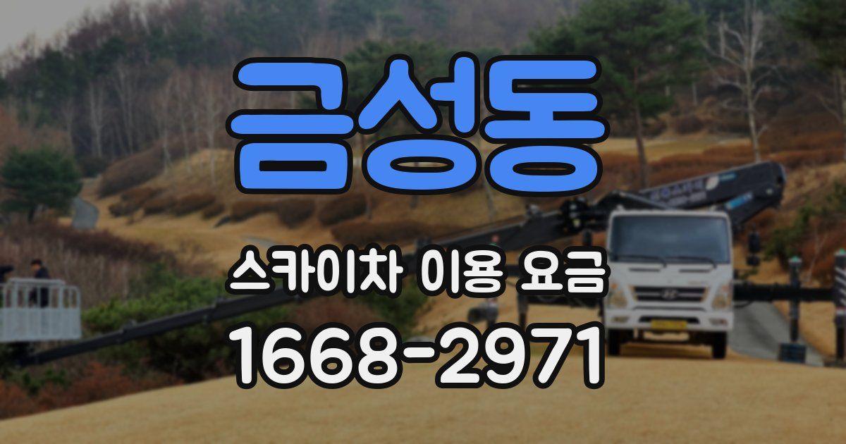 금성동 스카이차 이용 요금
