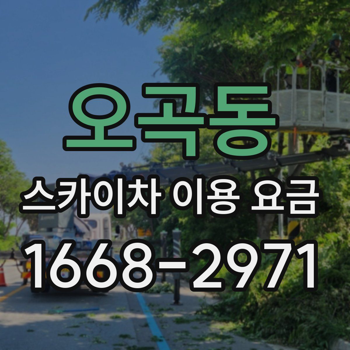 오곡동 스카이차 이용 요금