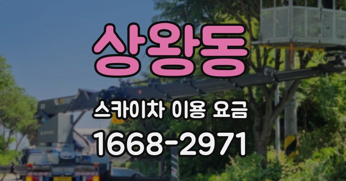 상왕동 스카이차 이용 요금
