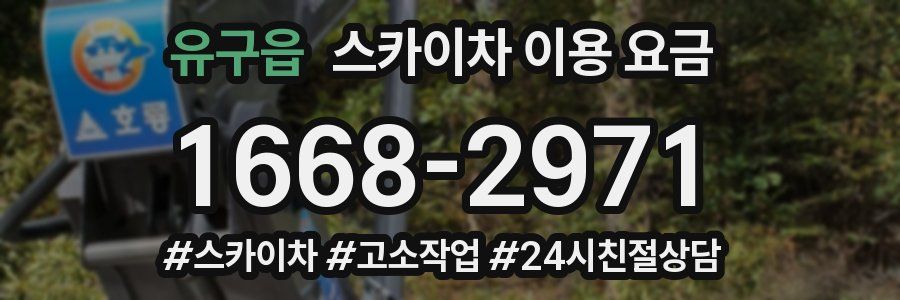 유구읍 스카이차 이용 요금