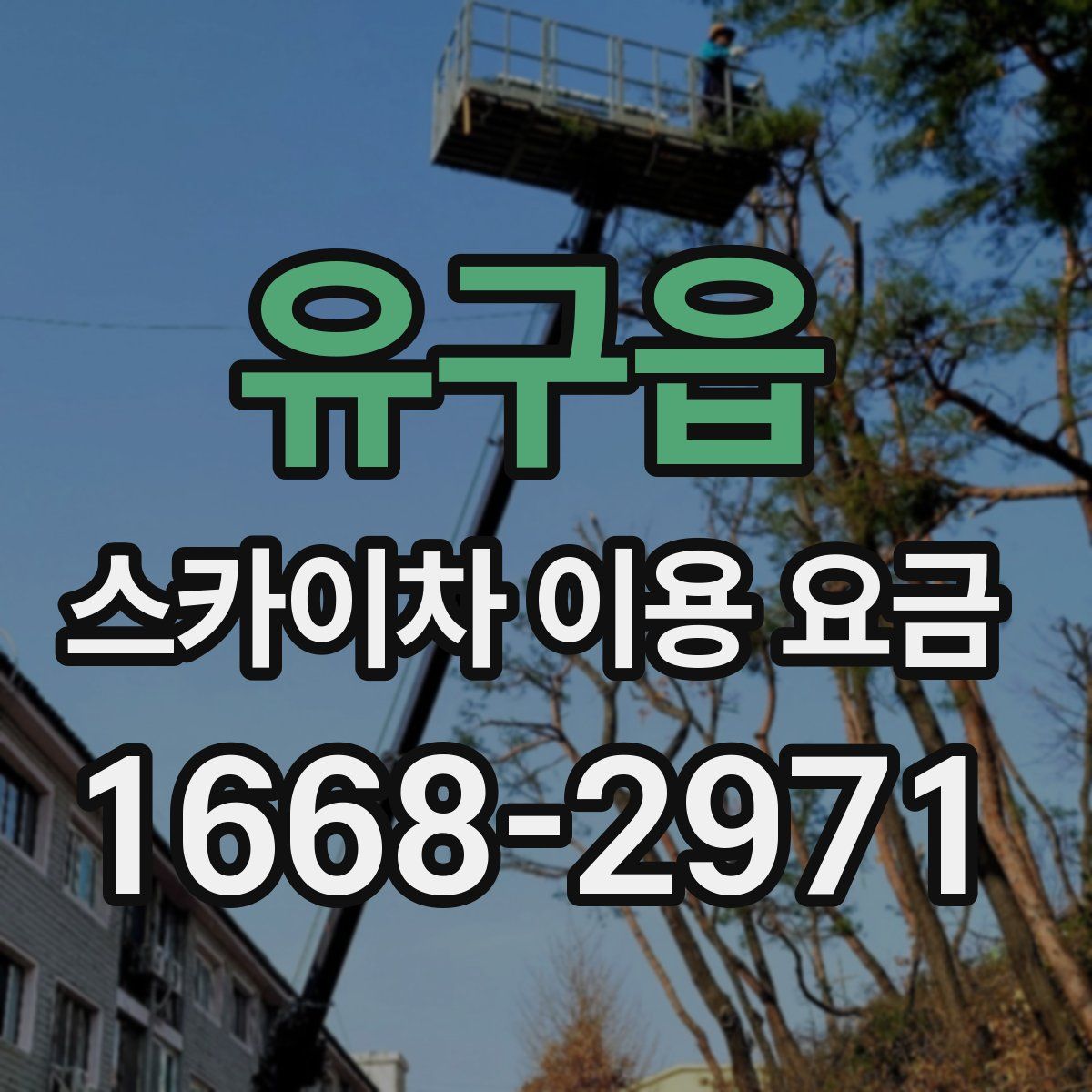 유구읍 스카이차 이용 요금