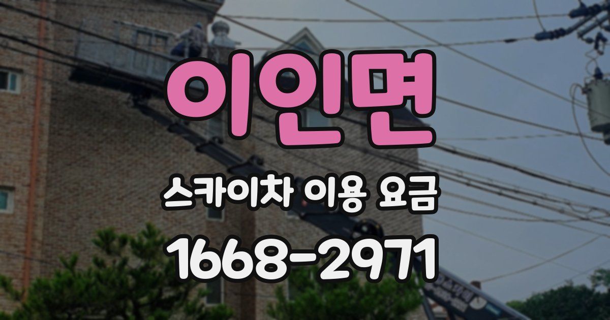 이인면 스카이차 이용 요금