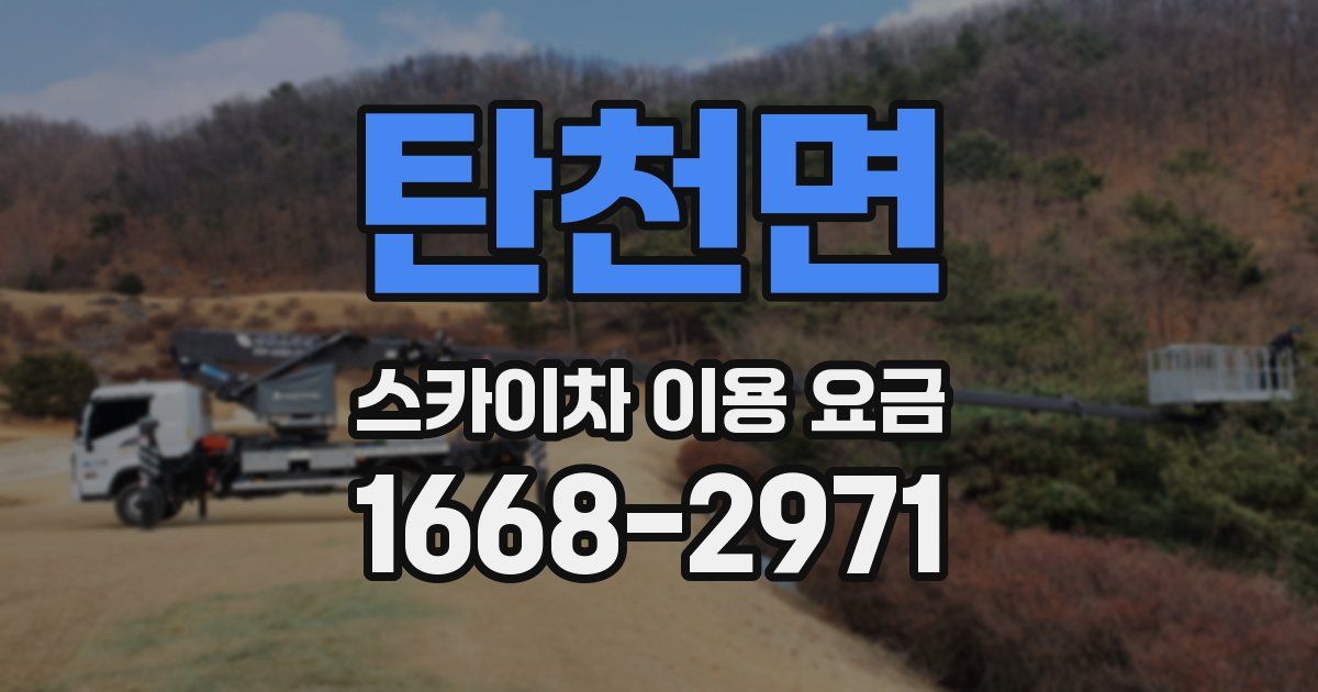 탄천면 스카이차 이용 요금