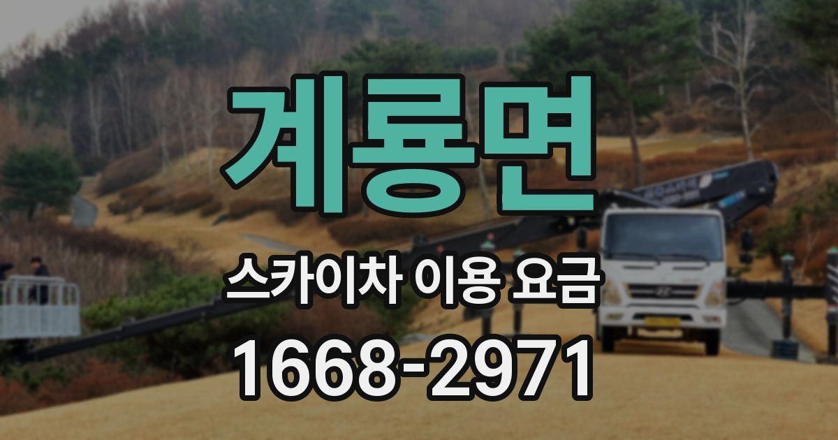 계룡면 스카이차 이용 요금