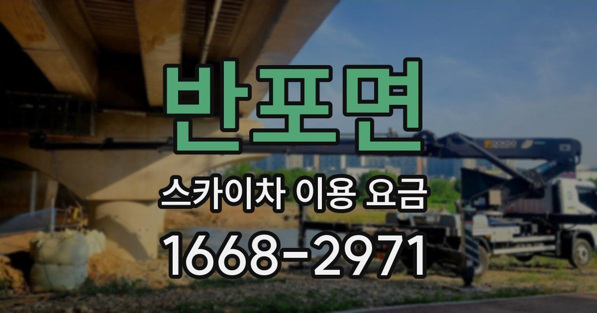 반포면 스카이차 이용 요금