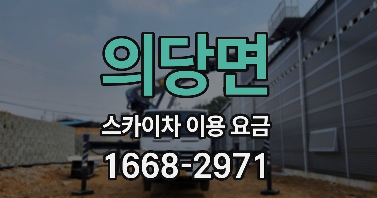 의당면 스카이차 이용 요금