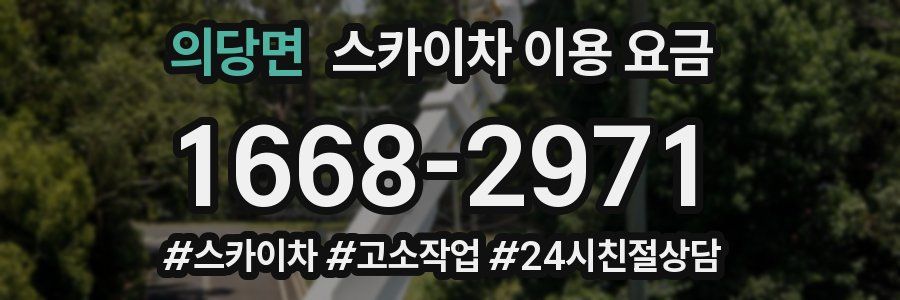 의당면 스카이차 이용 요금