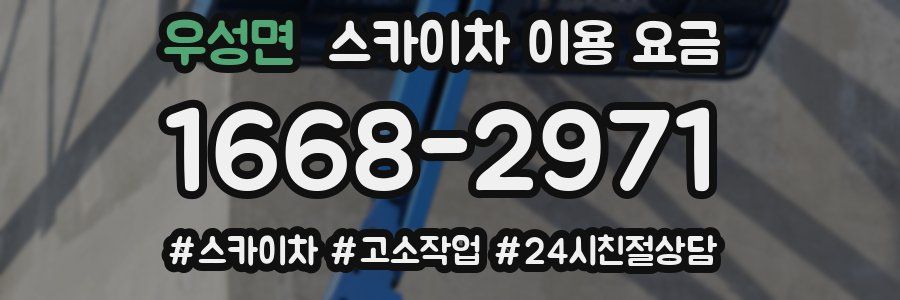 우성면 스카이차 이용 요금