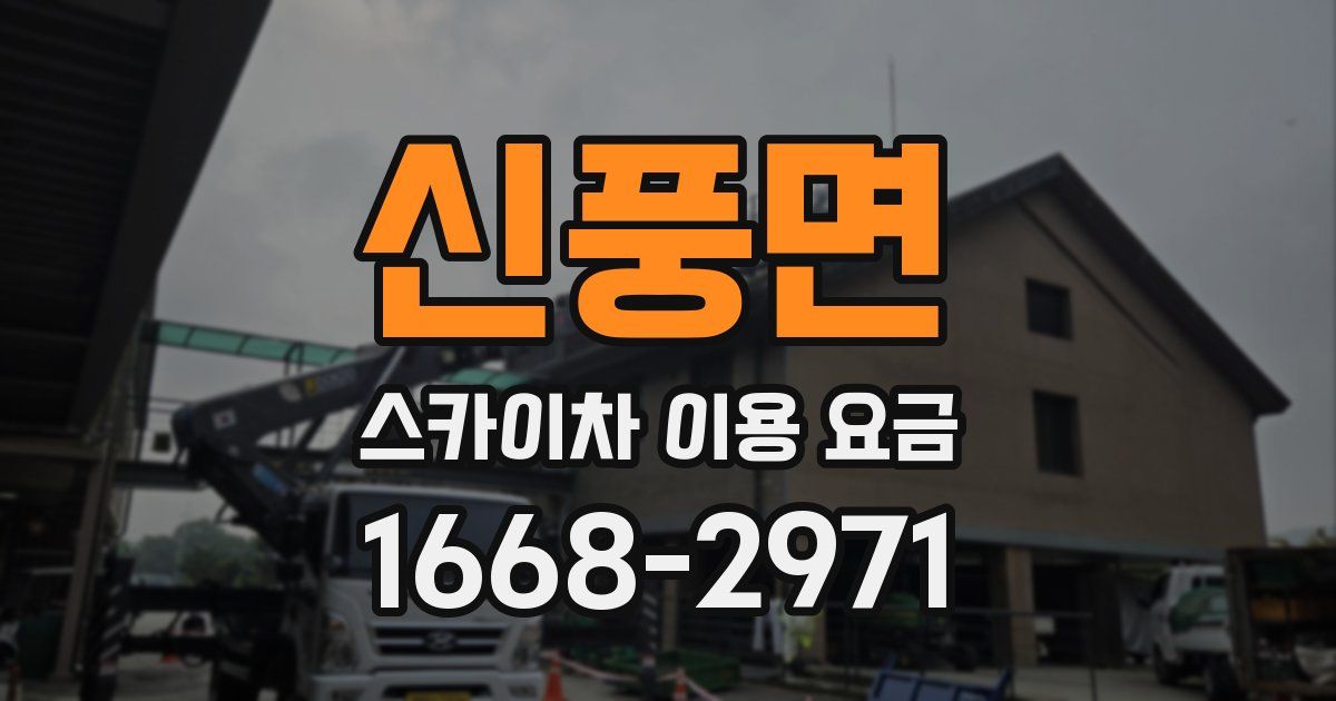 신풍면 스카이차 이용 요금