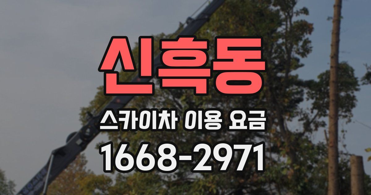 신흑동 스카이차 이용 요금