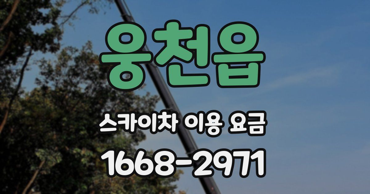 웅천읍 스카이차 이용 요금