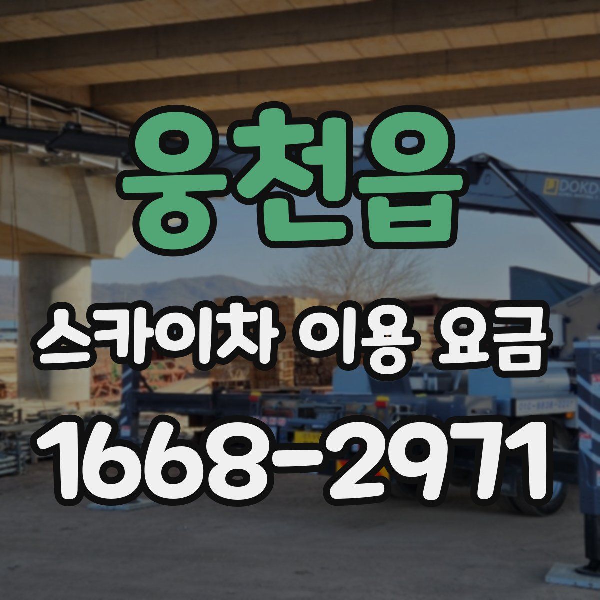 웅천읍 스카이차 이용 요금