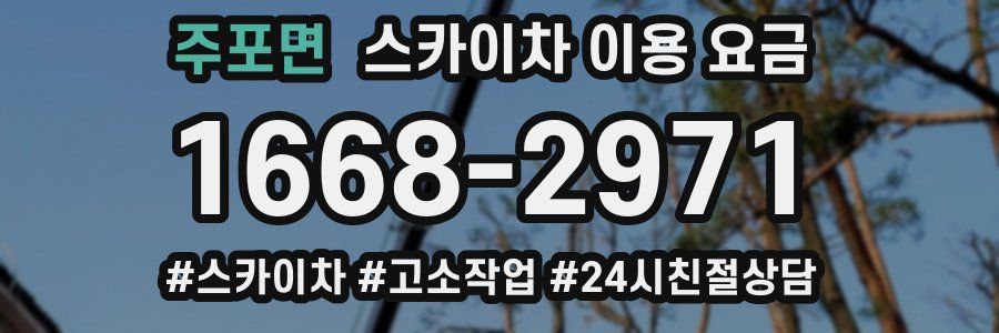 주포면 스카이차 이용 요금