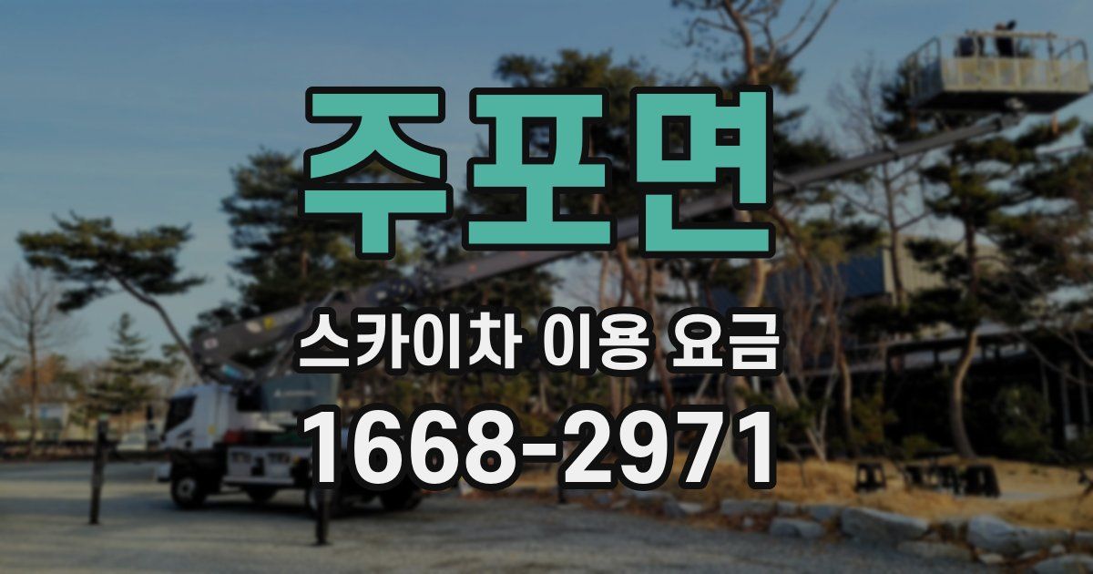 주포면 스카이차 이용 요금