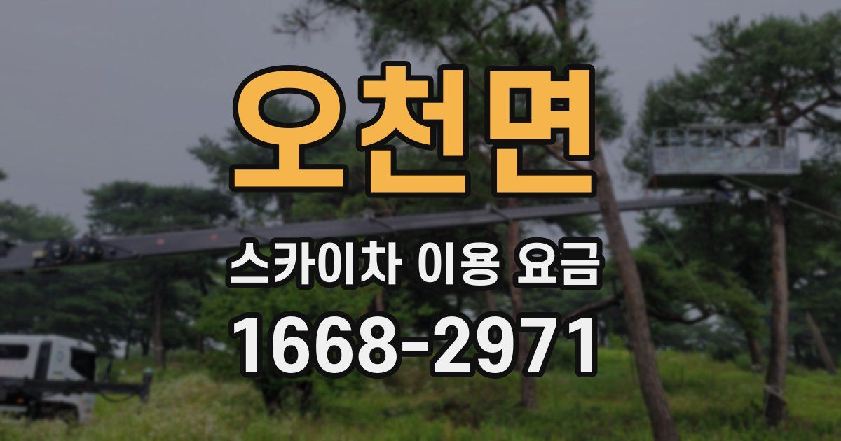 오천면 스카이차 이용 요금