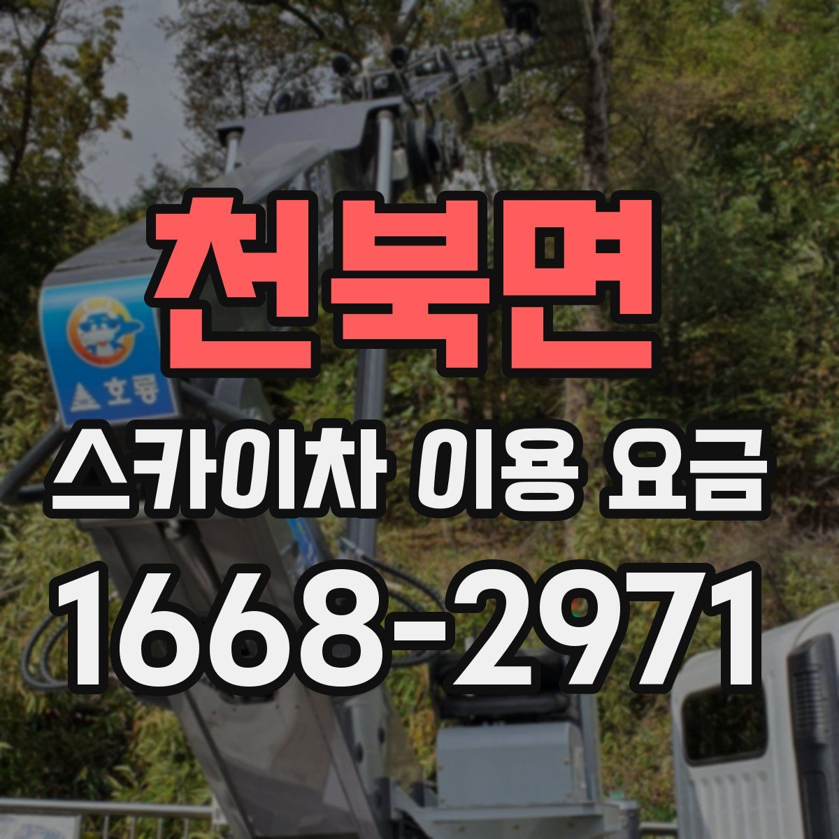 천북면 스카이차 이용 요금