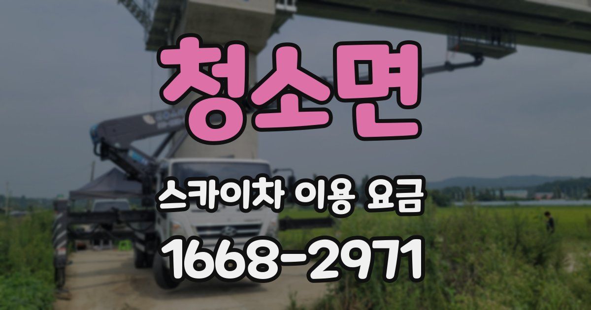 청소면 스카이차 이용 요금