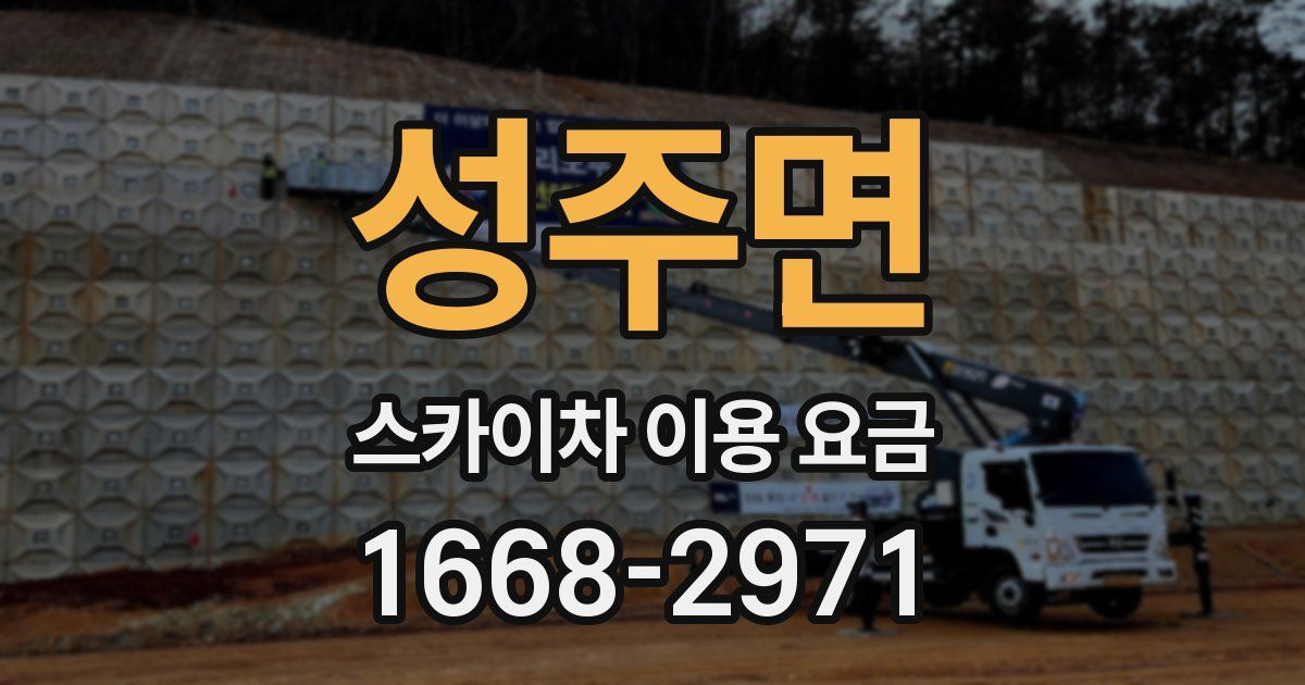 성주면 스카이차 이용 요금