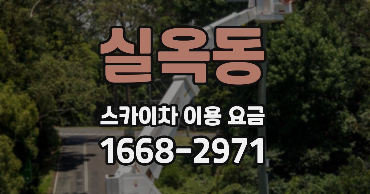 실옥동 스카이차 이용 요금
