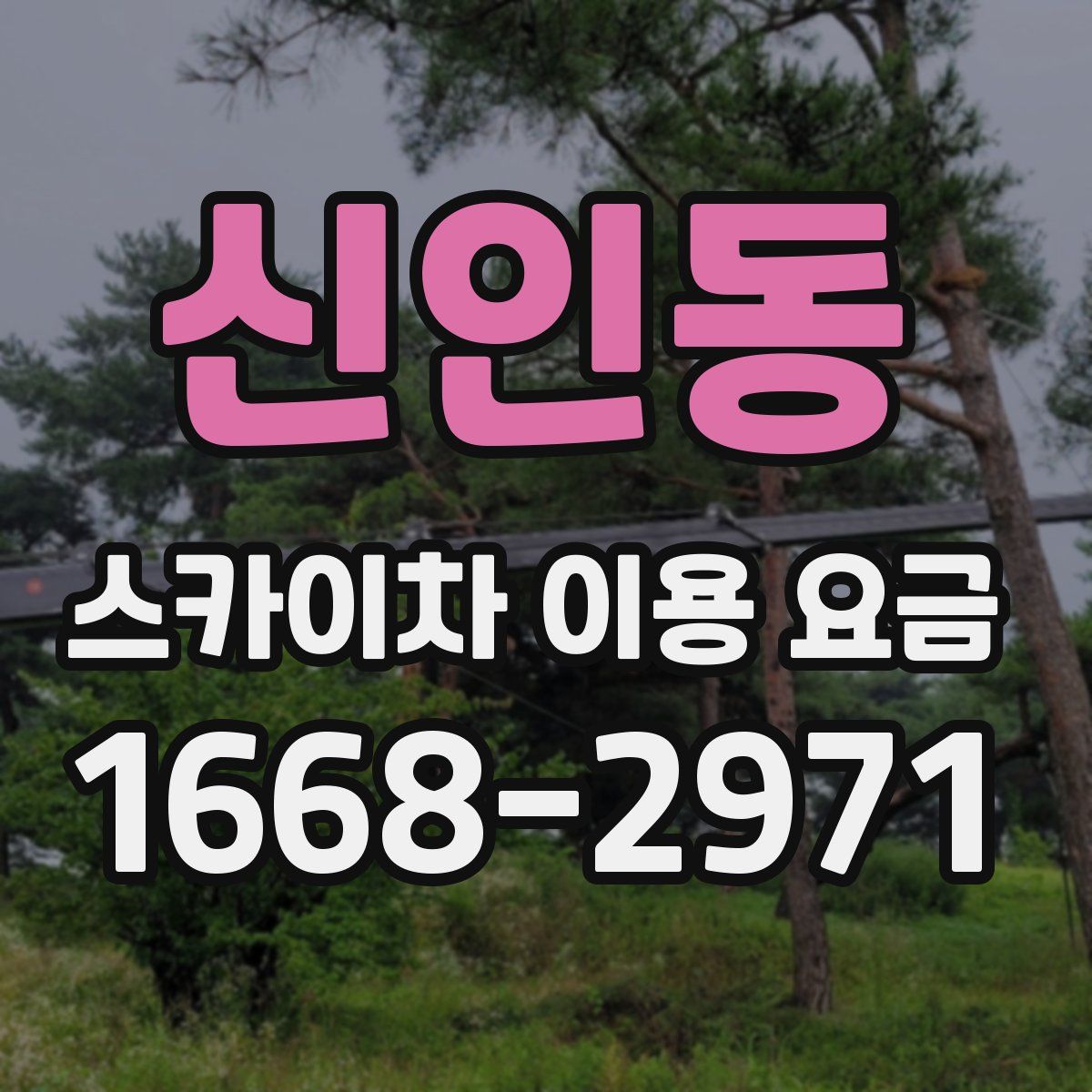 신인동 스카이차 이용 요금