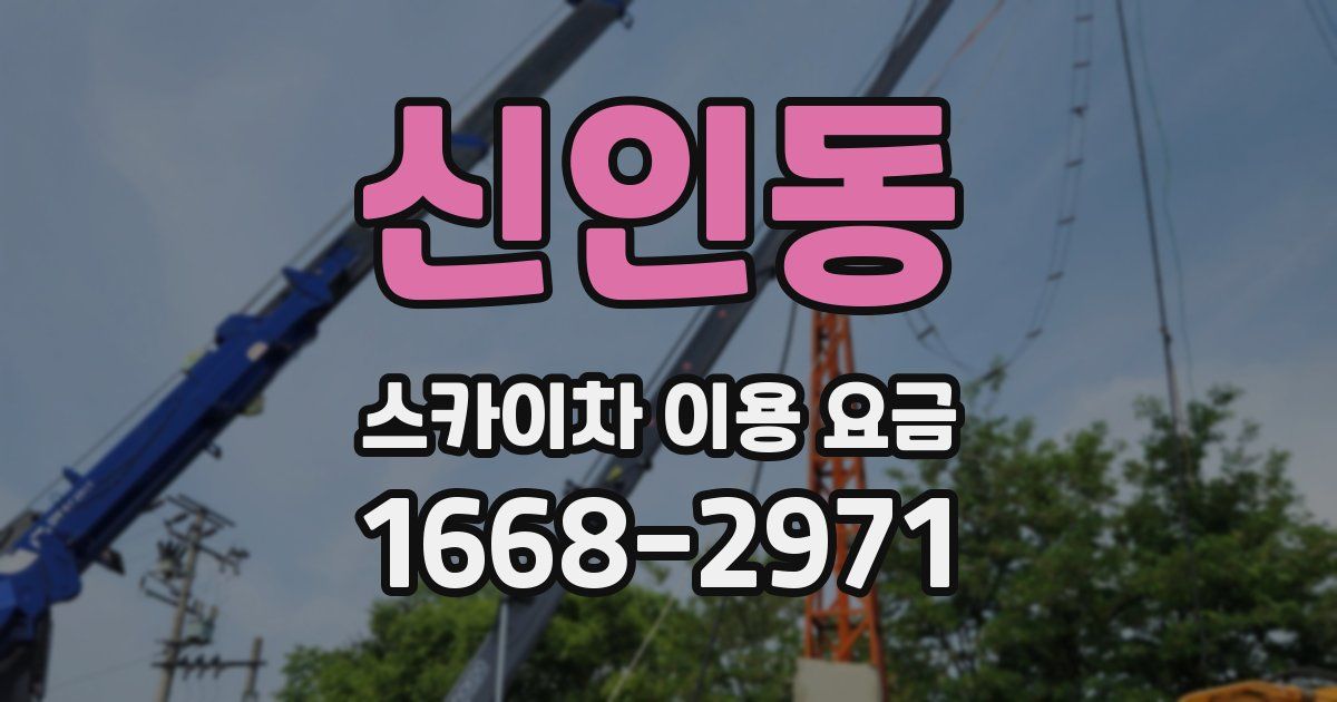 신인동 스카이차 이용 요금