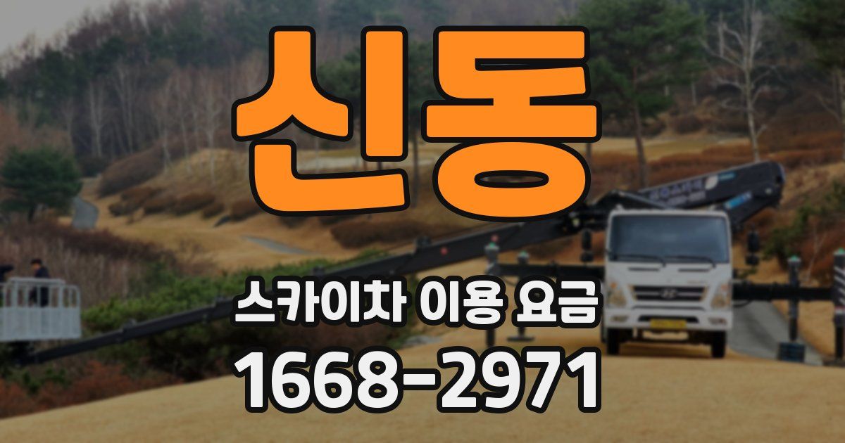신동 스카이차 이용 요금