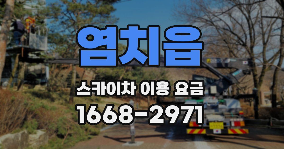염치읍 스카이차 이용 요금
