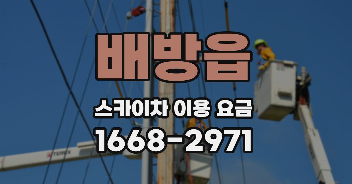 배방읍 스카이차 이용 요금