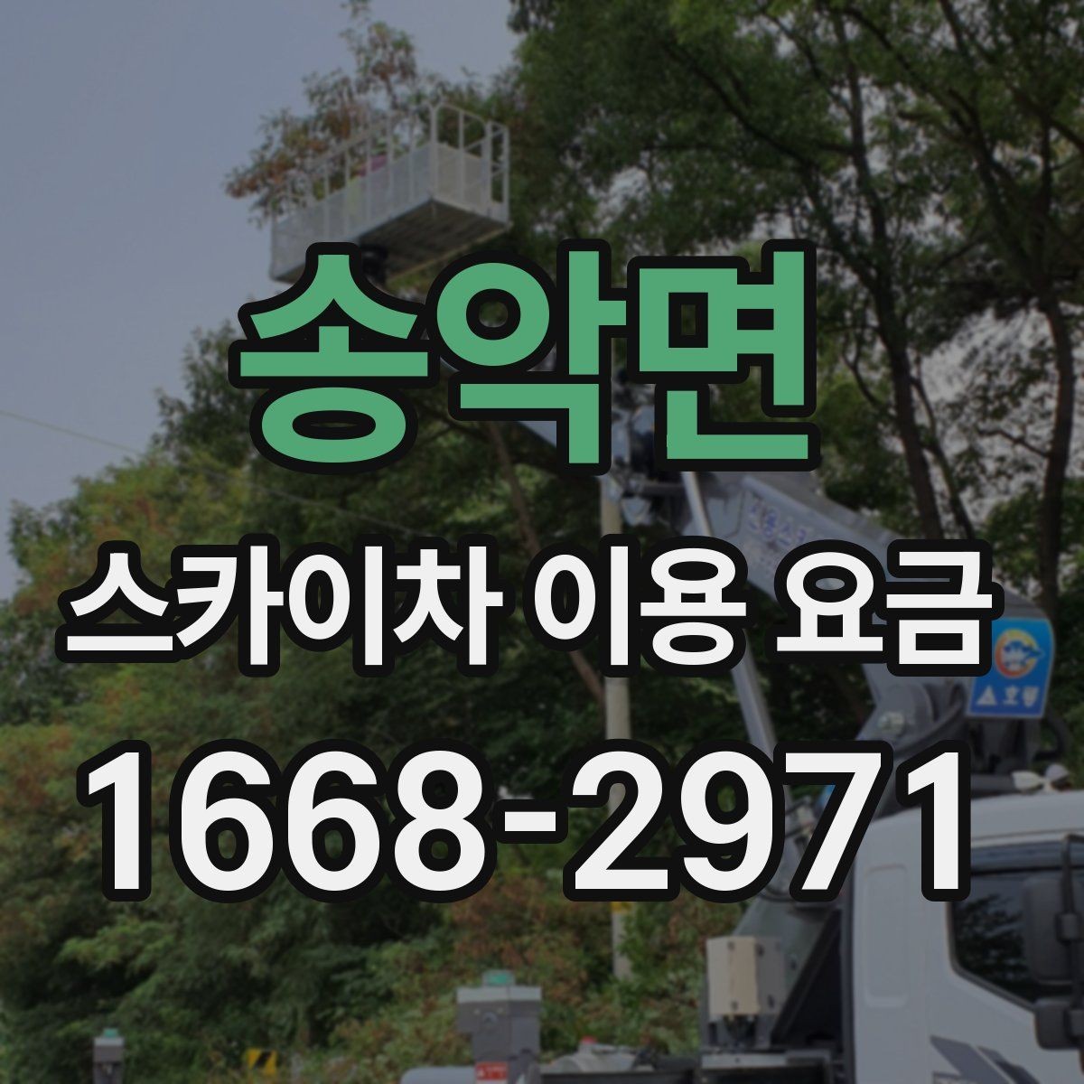 송악면 스카이차 이용 요금 비교 후 결정할 때 고려할 점