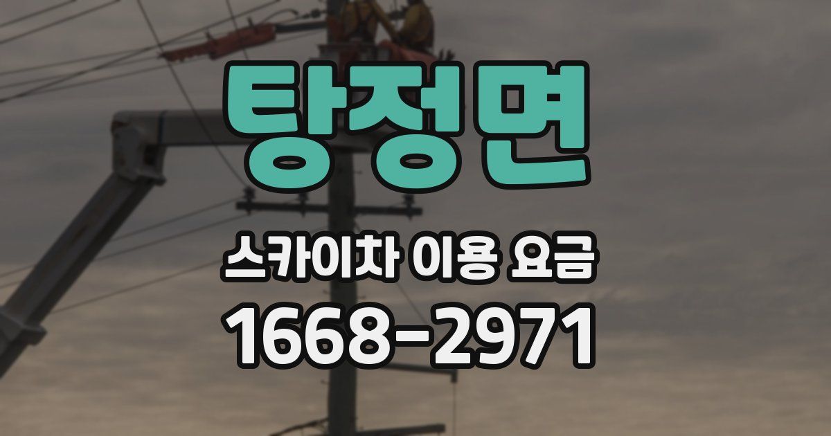 탕정면 스카이차 이용 요금