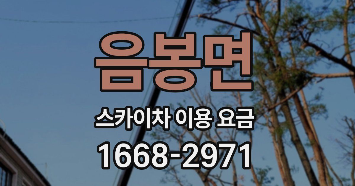 음봉면 스카이차 이용 요금