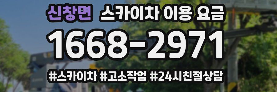 신창면 스카이차 이용 요금