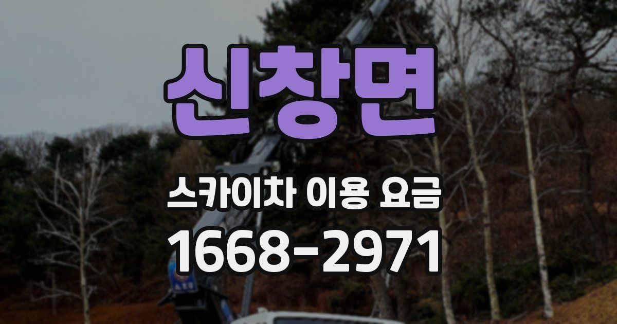 신창면 스카이차 이용 요금