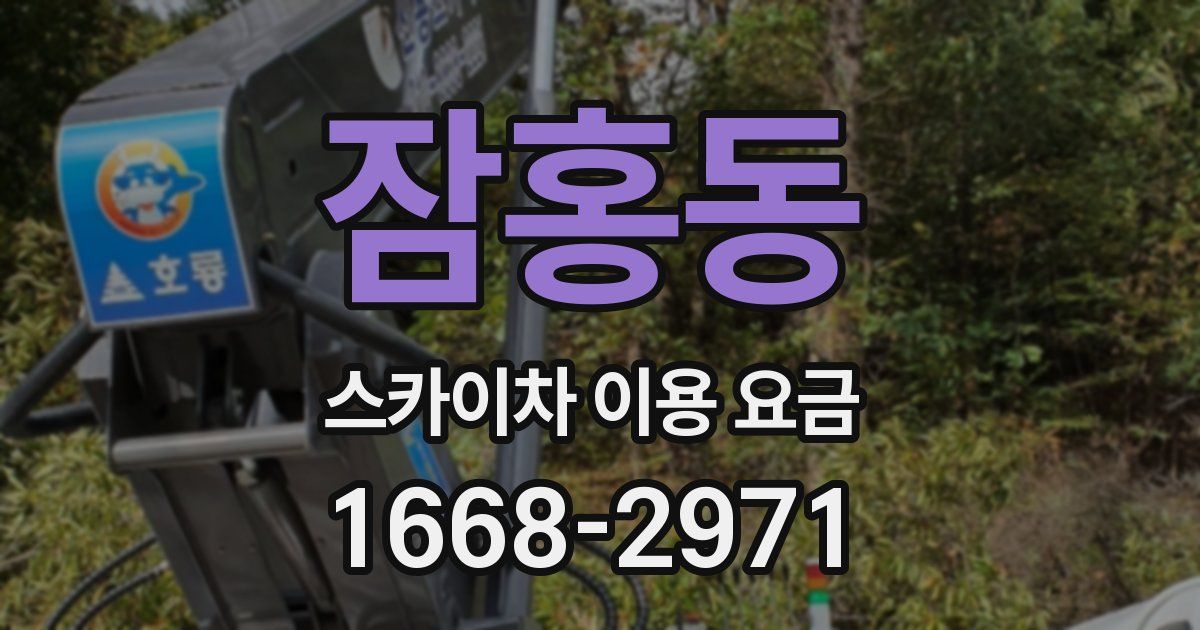 잠홍동 스카이차 이용 요금