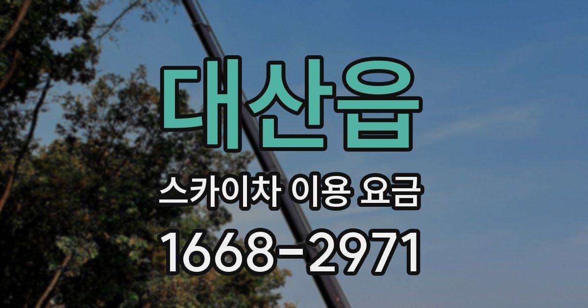 대산읍 스카이차 이용 요금