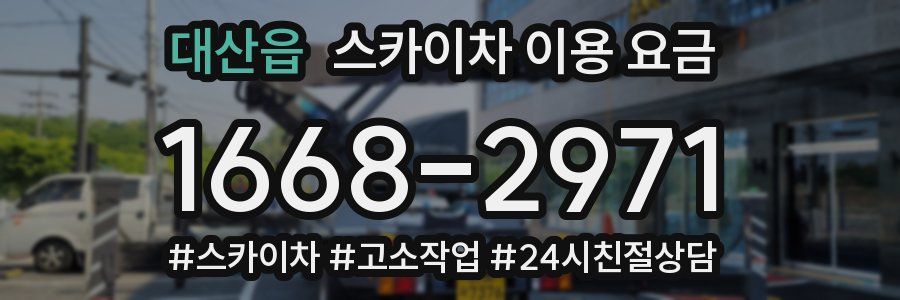 대산읍 스카이차 이용 요금