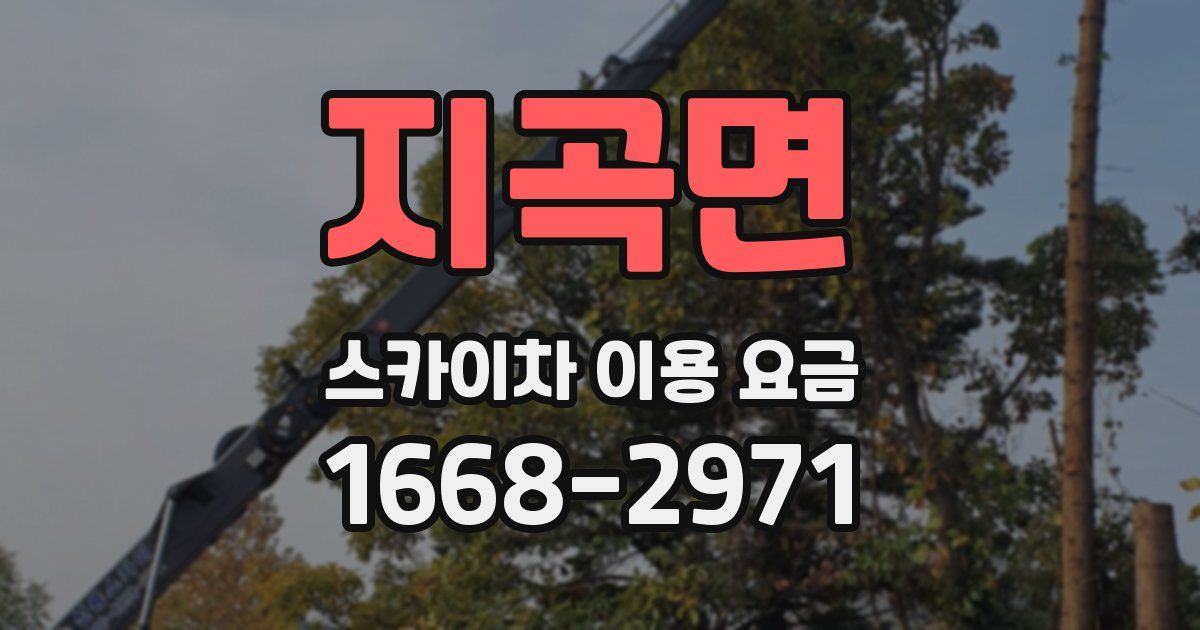 지곡면 스카이차 이용 요금