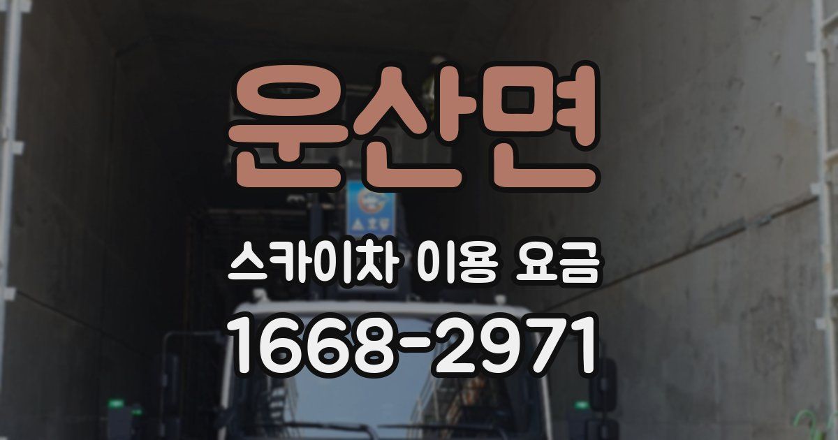운산면 스카이차 이용 요금